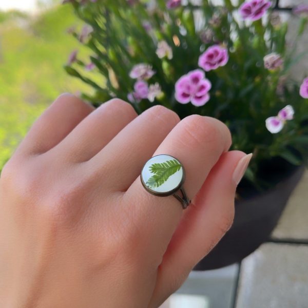Anillo de Helecho