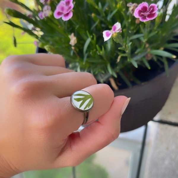 Anillo de Helecho