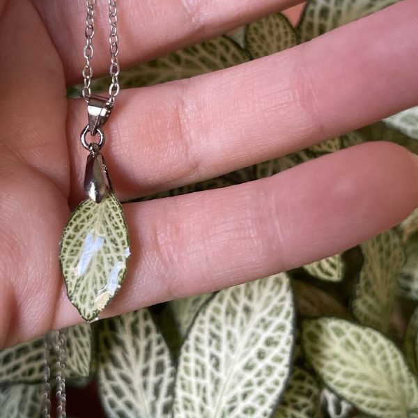 Colgante de hojita de Fitonia